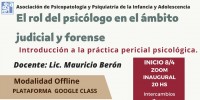 El rol del psicólogo en el ámbito judicial y forense. Introducción a la práctica pericial psicológica.