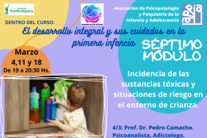 SÉPTIMO MÓDULO: Incidencia de las sustancias tóxicas y situaciones de riesgo en el entorno de crianza.