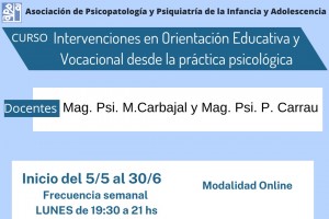 Intervenciones en Orientacin Educativa y Vocacional desde la prctica psicolgica